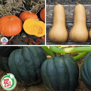 Winter Squash Collection Thumbnail